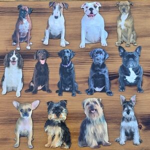 Lot Of 13 Assorted Dog Breed Magnets